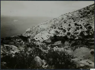 Rocky, scrubby hillside falling to the sea at Vouni, with a rough foreground of bushes and boulders.