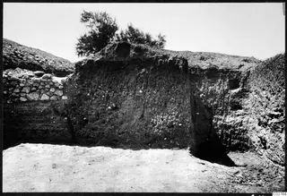 Soil profile in an excavation trench at Mersinaki, with a stone wall to the left and a bush on the top edge.