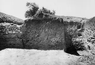 Excavated soil section at Mersinaki showing layered earth beside a dry-stone wall, with a shrub on top.