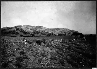 Stony ground with scattered scrub in front of rugged, tree-dotted hills at Mersinaki