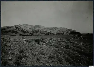 Rocky, scrubby ground in the foreground with a range of hills and scattered trees behind it