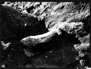 Sculpture no. 705 lying in situ in the soil at the Mersinaki excavation