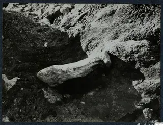 Pale stone sculpture fragment lying in situ in soil at the Mersinaki excavation
