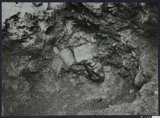Carved stone head in situ in H 15 at Mersinaki, half-buried in soil among stones