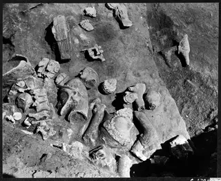 Statue fragments, many of them heads of different sizes, lying in excavated soil at Mersinaki.