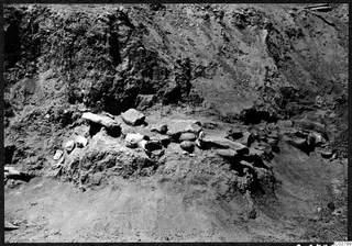 Sculpture fragments emerging from excavated soil in Square H 19-21 at Ayia Irini
