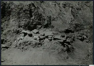 Stone sculpture fragments emerging from the soil in Square H 19-21 at Ayia Irini.