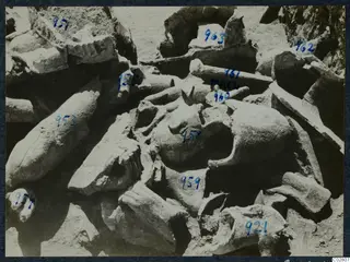 Pale stone fragments lying in the ground at Mersinaki, many marked with blue numbered labels.