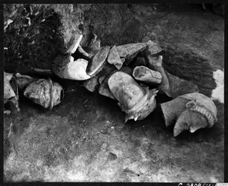 Broken pale objects lying in situ on the floor of pit L 19 at Mersinaki, against a bank of earth.
