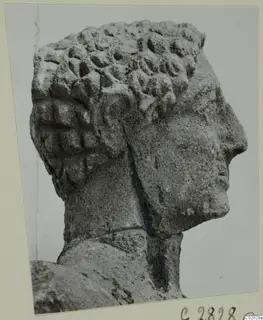Limestone head of a statue in right profile, with rows of rounded curls over the crown, photographed on a card mount
