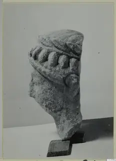 Broken limestone statue head with a row of rounded forms across the brow, photographed on wooden blocks