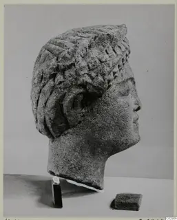 Limestone head in profile, a find from Kition
