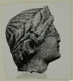 Limestone head in right profile, with wavy hair and a thick leafy headdress, from Vouni.