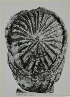 Limestone sculpture fragment from Vouni with radiating grooves across its rounded face