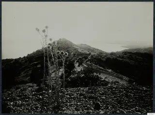 Stony hillside with spiny thistle-like plants in the foreground, a scrubby ridge, and a bay of water at Vouni