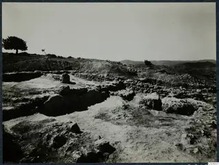 Excavated stone foundations and walls at Vouni, with a tree at left and hills on the horizon