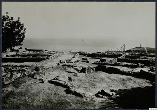 Low stone wall foundations of excavated rooms at Vouni, with a tree at left and the sea on the horizon