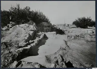 Excavated rock and stone walls at Vouni palace, with bushes along the ridge and posts behind.