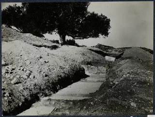 Excavation at the palace at Vouni, with a stone-paved passage running between earth banks under a tree