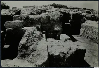 Excavated stone walls and rubble at the palace at Vouni, with a tree at the upper left.