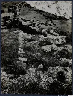 Hillside with scattered rough stones and low scrub at Vouni