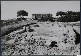 Excavated wall foundations at Vouni palace with a small stone building and trees behind them.