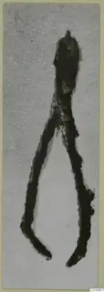 Corroded iron object with two long curved arms joining at a rounded top, shown against a pale background