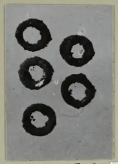 Five silver hair-rings from tomb 22 at Marion, shown as dark rings on a grey ground
