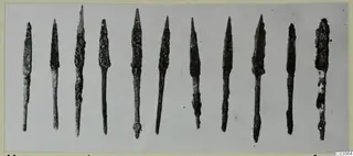 Twelve corroded bronze arrowheads laid side by side in a row, from M. 43 at Marion