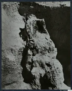 Field photograph of a vertical, rough-textured charred tree trunk standing in excavated soil at Mersinaki