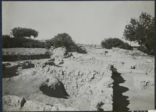 Excavated stone walls at the palace at Vouni, with trees and bushes behind them