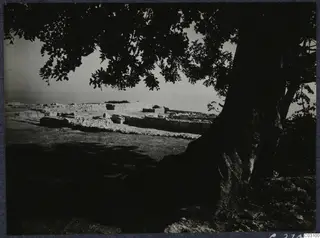 Low ruined stone walls at Vouni seen through the branches of a large tree