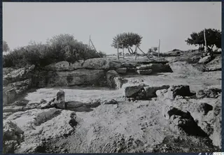 Excavated stone walls and foundations at Vouni palace, with wooden posts and trees behind.