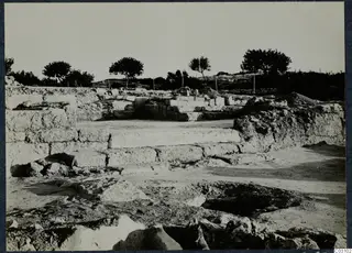 Excavated stone ruins at Vouni Palace with a stepped stone block and trees on the skyline
