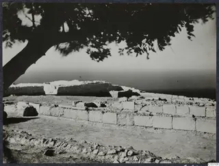 Ruined stone walls of Vouni Palace seen beneath a tree, with the sea on the horizon