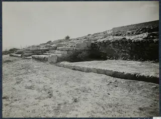 Stone steps and a wall of large blocks at Vouni Palace, with a shrub on the slope behind.
