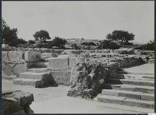 Stone steps and walls of the palace ruins at Vouni, with trees and a fence behind.