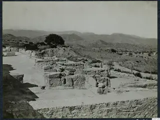 Ruined stone walls at Vouni palace, with a large tree and hills beyond