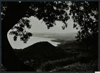 View through overhanging tree branches over a bay, a flat coastal plain and distant hills
