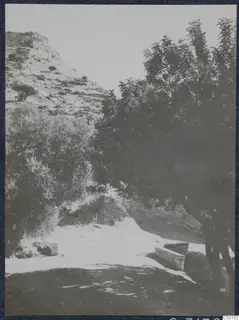 Topography at the Vouni palace site: a rocky hillside, trees and a low stone wall beside a track
