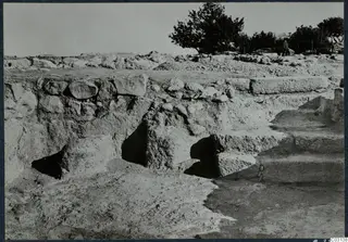 Excavated stone walls, a flight of steps and a tree at Vouni Palace