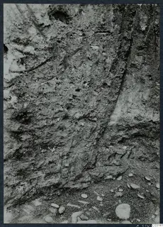 Soil section in pit J 20 at Mersinaki, showing layered earth, a curved darker cut line and pebbles at the base