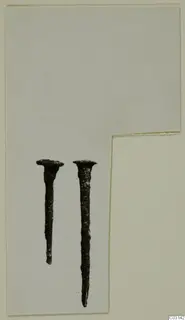 Two corroded metal nails with flat round heads, laid side by side on a pale card.
