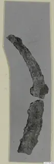 Two corroded iron fragments, one long and curved, photographed against a grey background