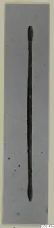 Bronze toilet-requisite: a long thin rod with slightly thickened rounded ends.