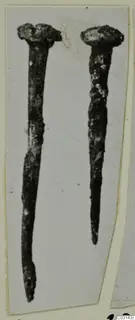 Two corroded iron nails with flat heads, photographed on a pale card mount, from Marion.