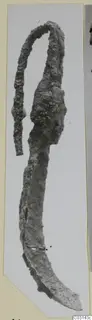 Corroded iron strigil, a long curved implement with a loop at one end, from the Marion tomb finds