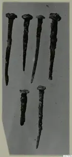 Several corroded metal nails or pins with flat heads, laid out on a grey background
