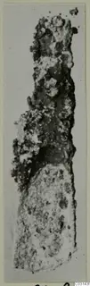 Corroded metal tool from Marion, shown upright.