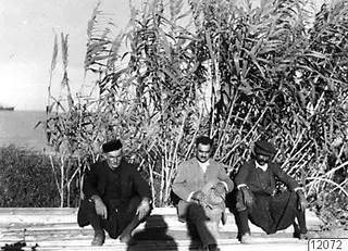 Three men sit side by side on wooden planks in front of tall reeds, with the sea behind them at Karavostassi, Soli.